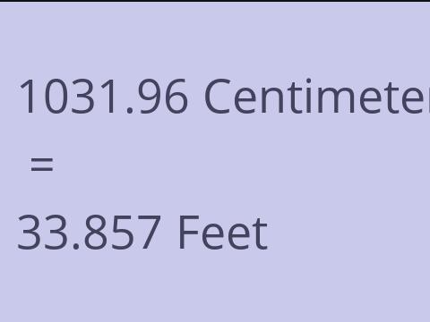 1031.96 CM TO FEET