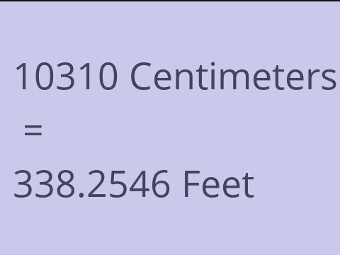 10310 CM TO FEET