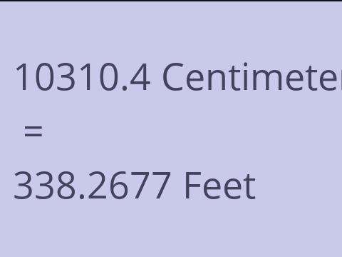 10310.4 CM TO FEET
