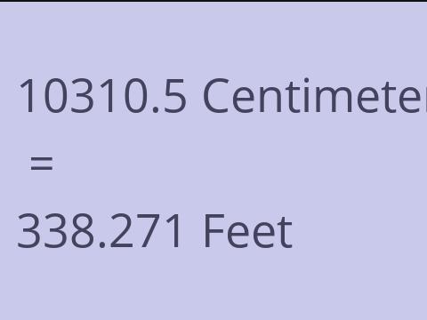 10310.5 CM TO FEET