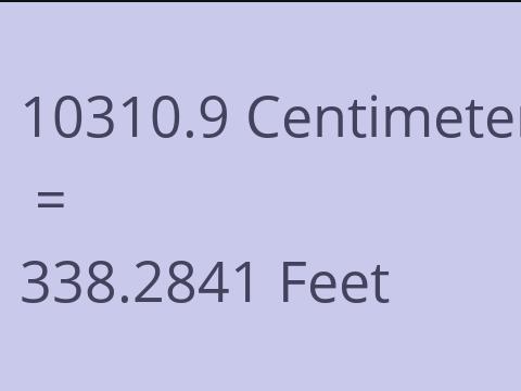 10310.9 CM TO FEET