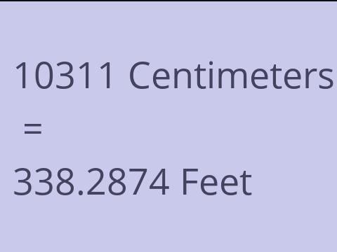 10311 CM TO FEET