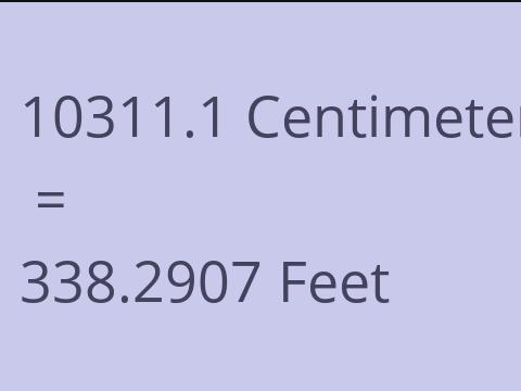 10311.1 CM TO FEET