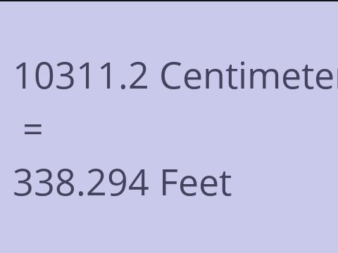 10311.2 CM TO FEET
