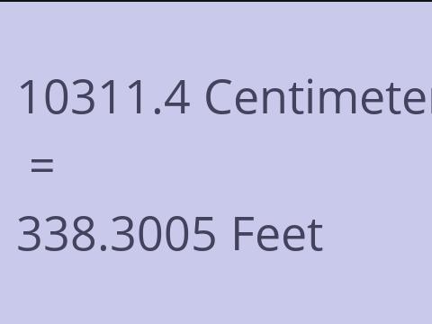 10311.4 CM TO FEET