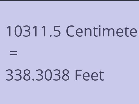 10311.5 CM TO FEET