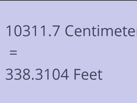 10311.7 CM TO FEET