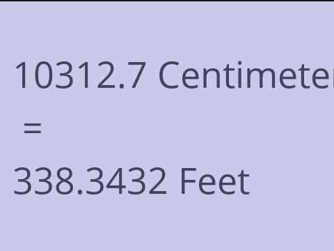10312.7 CM TO FEET