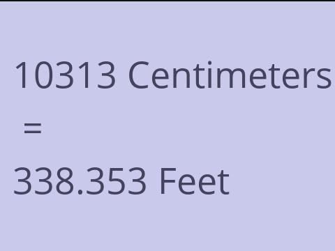 10313 CM TO FEET