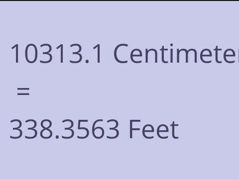10313.1 CM TO FEET
