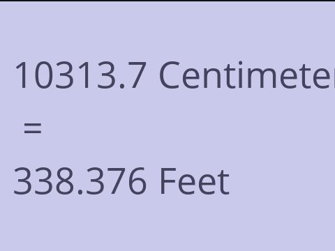 10313.7 CM TO FEET