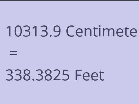 10313.9 CM TO FEET