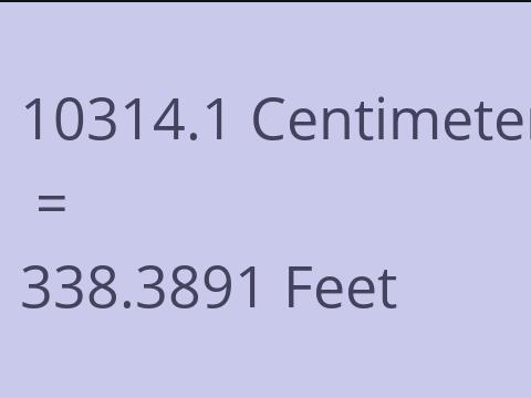 10314.1 CM TO FEET