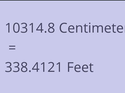 10314.8 CM TO FEET