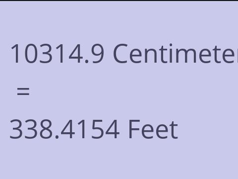 10314.9 CM TO FEET