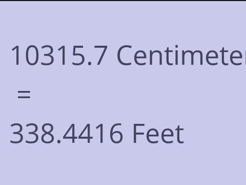 10315.7 CM TO FEET