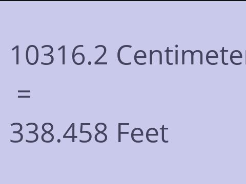 10316.2 CM TO FEET