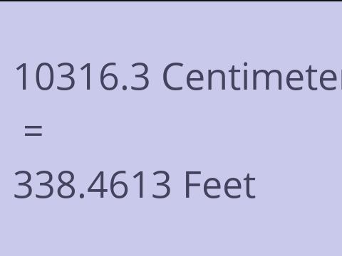 10316.3 CM TO FEET