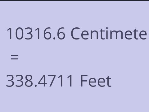 10316.6 CM TO FEET