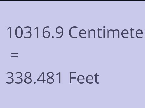 10316.9 CM TO FEET