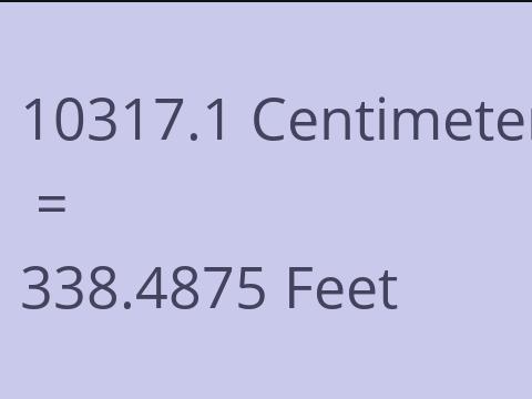 10317.1 CM TO FEET