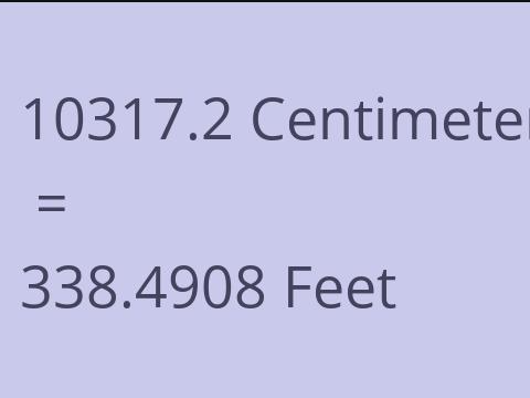 10317.2 CM TO FEET