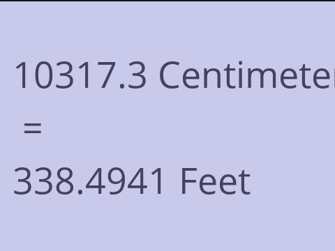 10317.3 CM TO FEET