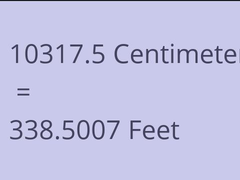 10317.5 CM TO FEET