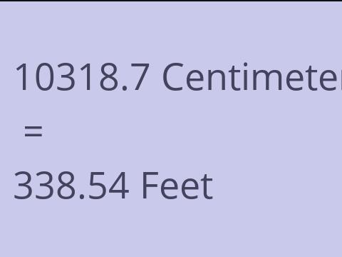 10318.7 CM TO FEET