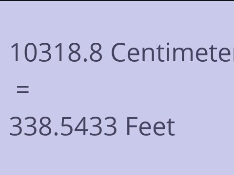 10318.8 CM TO FEET