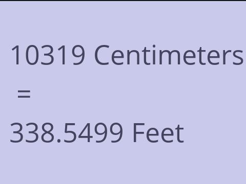 10319 CM TO FEET