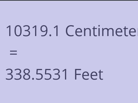 10319.1 CM TO FEET