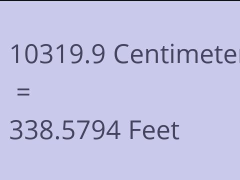 10319.9 CM TO FEET