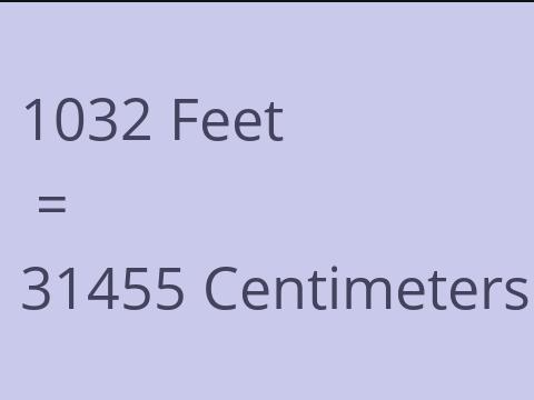 1032 FEET TO CM