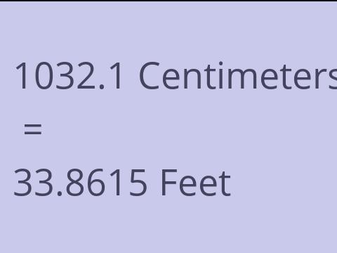 1032.1 CM TO FEET