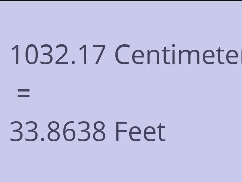 1032.17 CM TO FEET