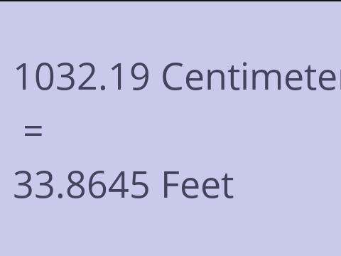 1032.19 CM TO FEET