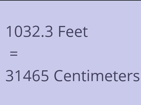 1032.3 FEET TO CM