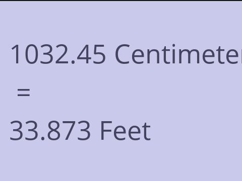 1032.45 CM TO FEET