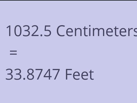 1032.5 CM TO FEET