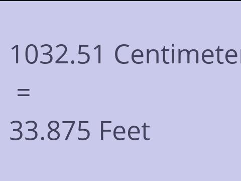 1032.51 CM TO FEET