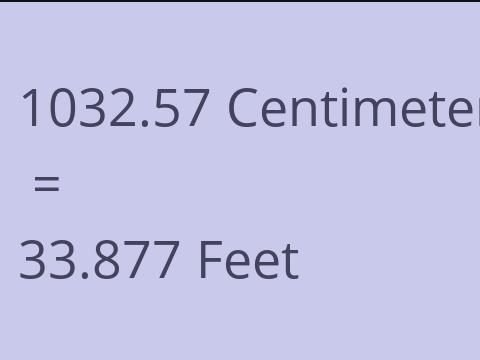 1032.57 CM TO FEET