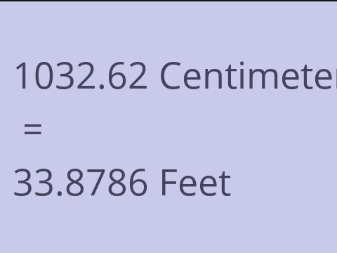 1032.62 CM TO FEET