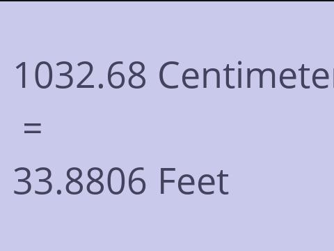 1032.68 CM TO FEET