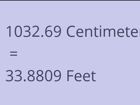 1032.69 CM TO FEET