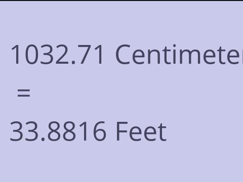 1032.71 CM TO FEET