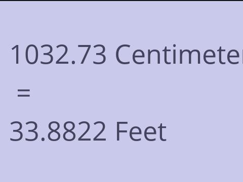 1032.73 CM TO FEET