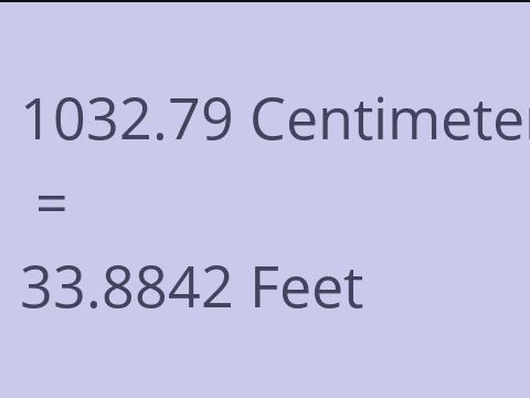 1032.79 CM TO FEET