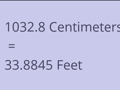 1032.8 CM TO FEET