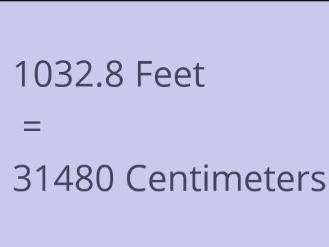 1032.8 FEET TO CM